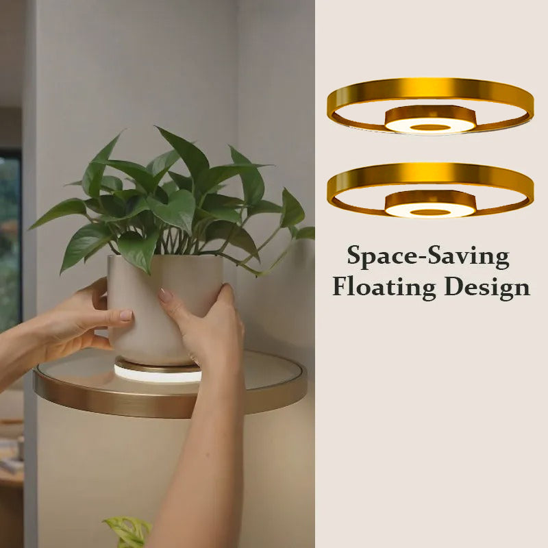 🎉 2026 Sale ✨Gold‑Finish LED Ambient Light Rechargeable Floating Wall Shelf