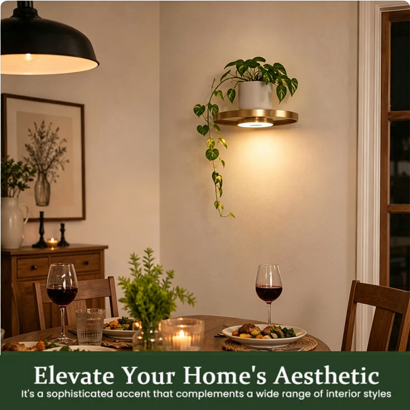 🎉 2026 Sale ✨Gold‑Finish LED Ambient Light Rechargeable Floating Wall Shelf